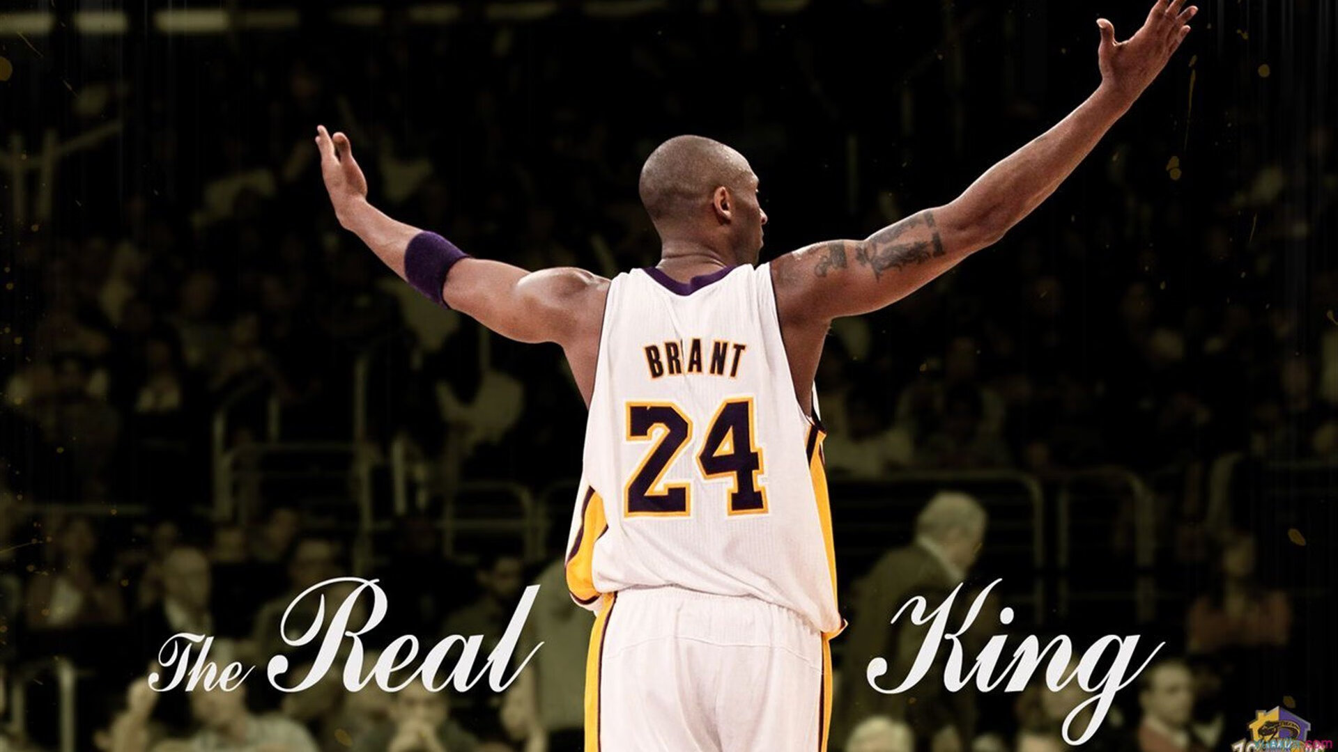 体育新闻中心协办国际体育内容版权研讨会，体育赛事版权